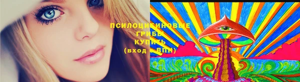 ПСИЛОЦИБИНОВЫЕ ГРИБЫ Балабаново