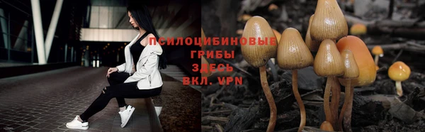 ПСИЛОЦИБИНОВЫЕ ГРИБЫ Балабаново