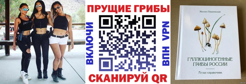 Псилоцибиновые грибы мухоморы  дарнет шоп  Буинск 
